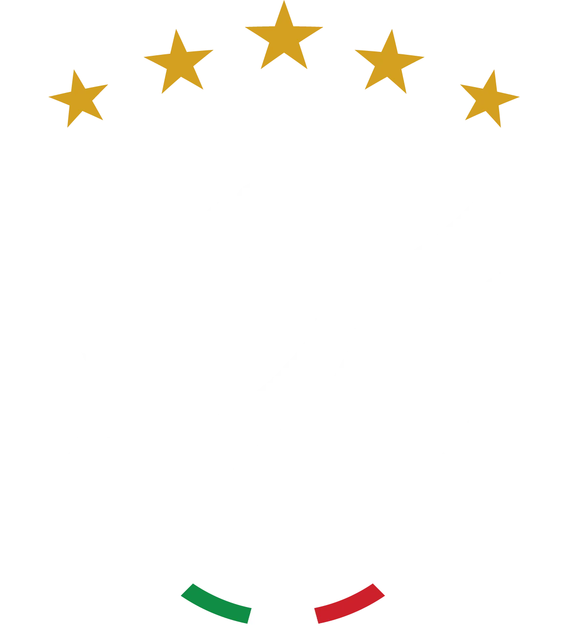 Valdan Security Group - White Logo - 2026