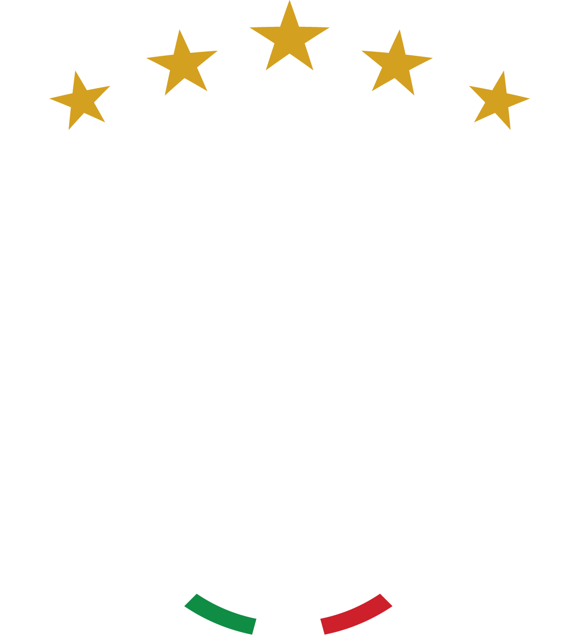 Valdan Security Group - Logo bianco - 2026